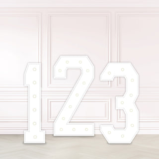 4ft LED Party Numbers