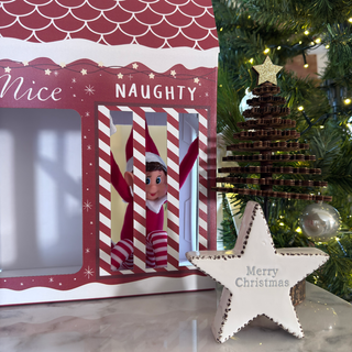 Naughty Elf Christmas Jail