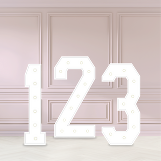 4ft LED Party Numbers