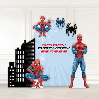 Spider Hero Mini 4ft Birthday Bundle, DIY Party Pack